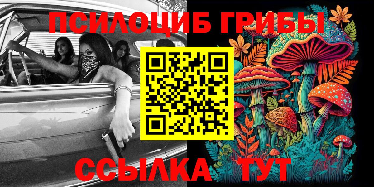 Ярославль  Псилоцибиновые грибы GOLDEN TEACHER  Вход с VPN 