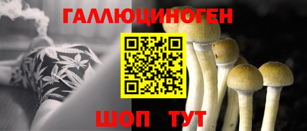 Галлюциногенные грибы Magic Shrooms Ярославль